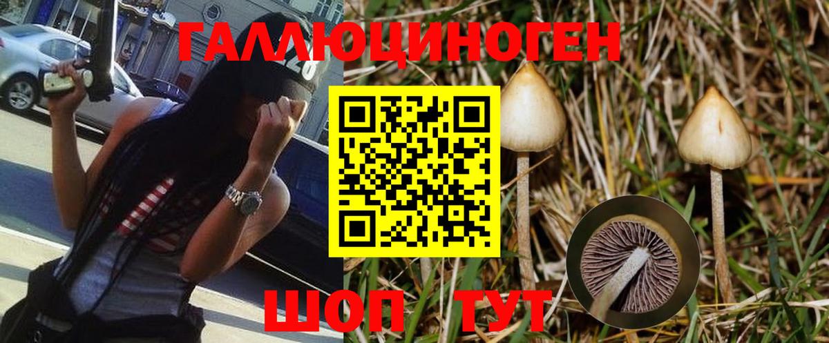 Псилоцибиновые грибы MAGIC MUSHROOMS  Вход с VPN  Югорск 